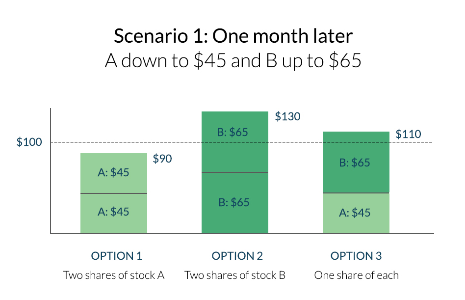 Diversification 2 snapshot